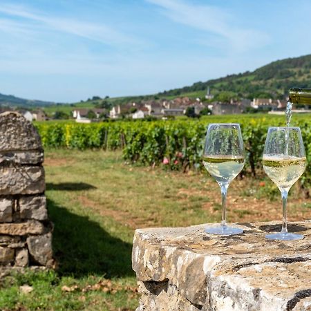 Charmante Maison Climatisee Avec Son Jardin A 10 Minutes De Dijon Marsannay-la-Côte Dış mekan fotoğraf