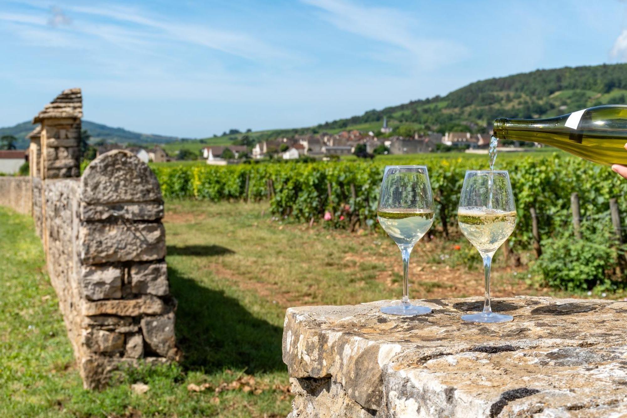 Charmante Maison Climatisee Avec Son Jardin A 10 Minutes De Dijon Marsannay-la-Côte Dış mekan fotoğraf